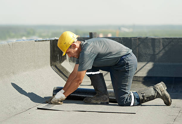 Best Insulation Maintenance and Repair in Henning, TN